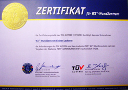 t&uuml;v austria